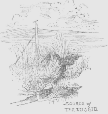 Source of the Luggie